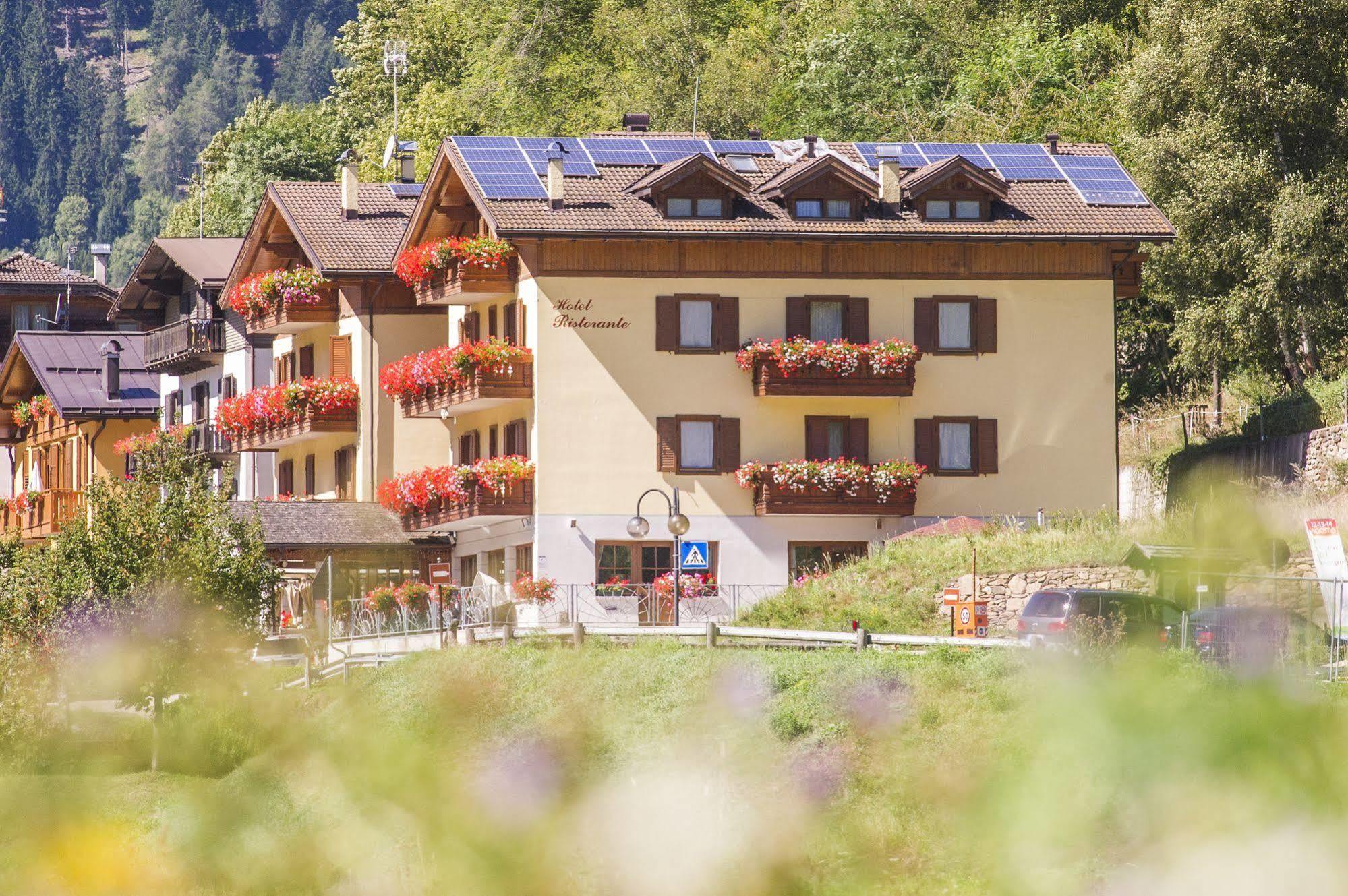 Hotel Pezzotti Пеллиццано Экстерьер фото